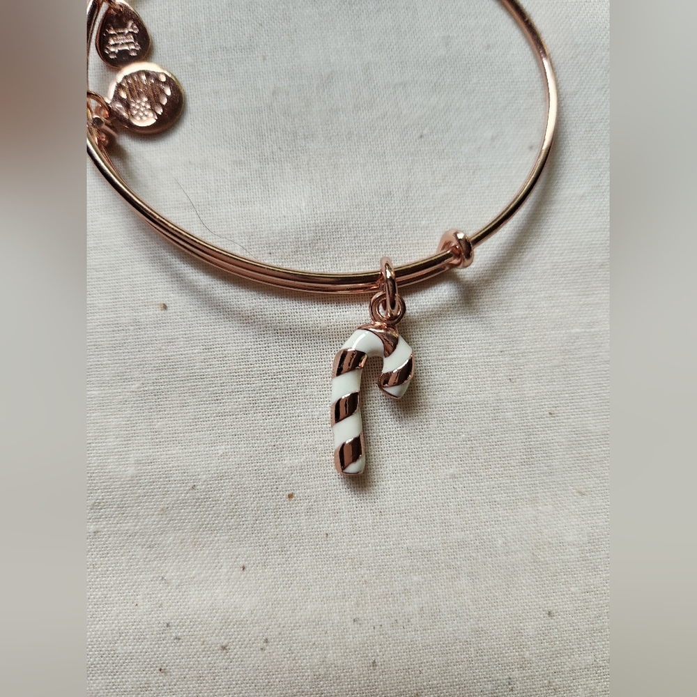 Alex and Ani Candy Cane Bracelet